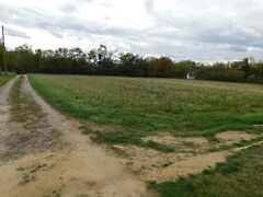 Eladó földterület Szentgyörgyvár