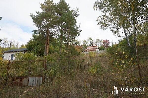 Eladó földterület Domony