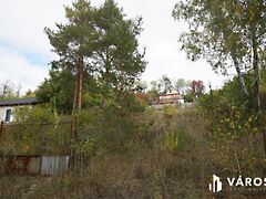 Eladó földterület Domony