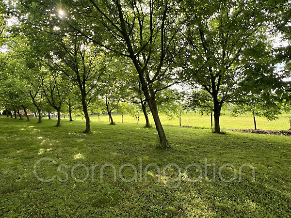 Eladó földterület Bogyoszló