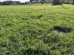 Eladó földterület Bodonhely