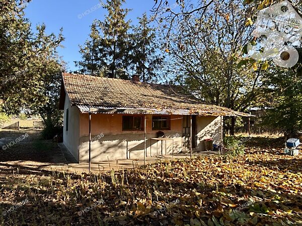 Eladó ház Kiskunfélegyháza