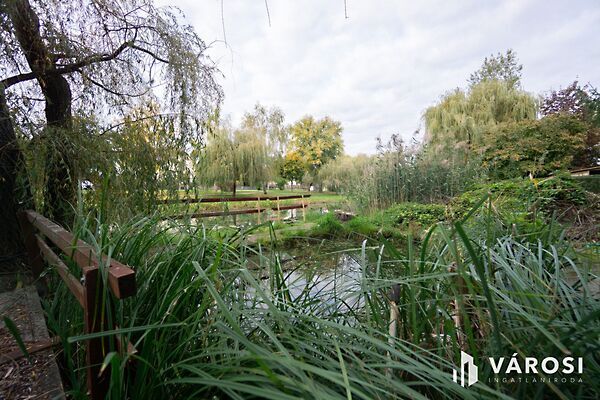 Eladó ház Vámosszabadi