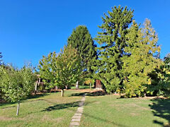 Eladó földterület Budakeszi
