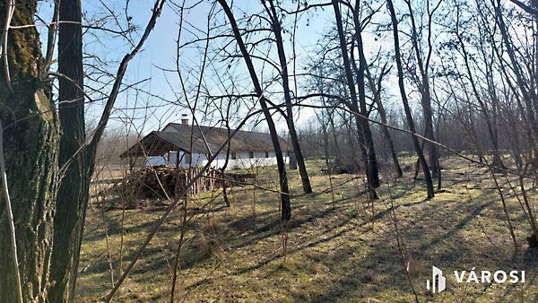 Eladó földterület Hosszúpályi