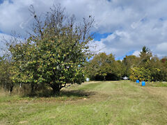 Eladó földterület Zalaegerszeg