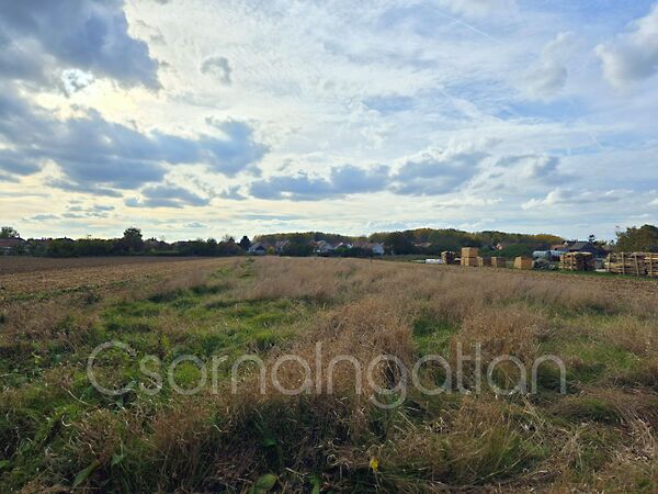 Eladó földterület Szil