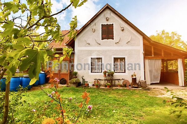 Eladó ház Balatonudvari