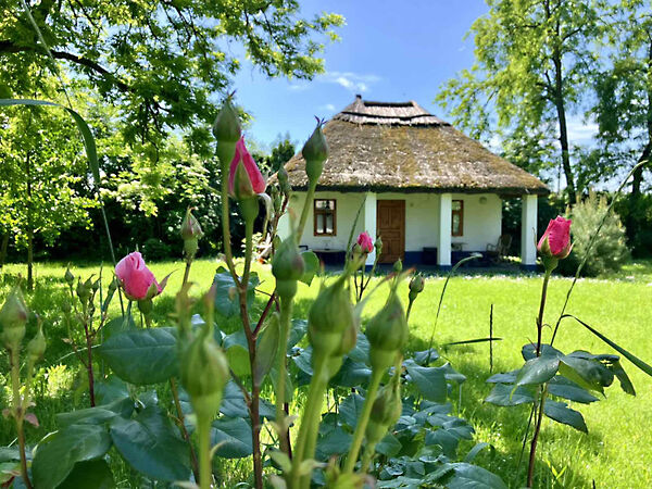 Eladó ház Ároktő