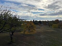 Eladó földterület Balatonalmádi