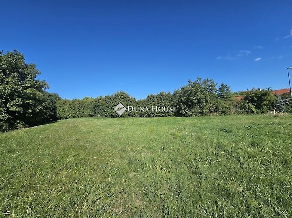 Eladó földterület Vámosszabadi