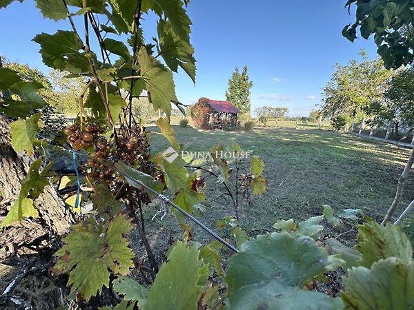 Eladó ház Szentkirály