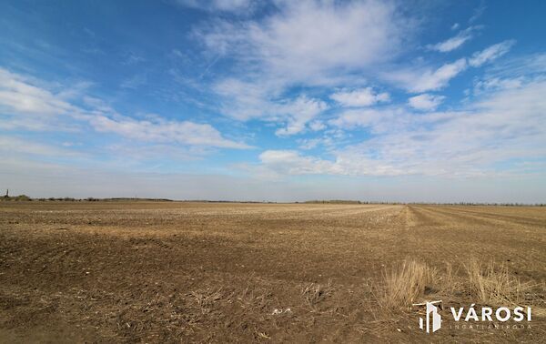 Eladó földterület Nagyszénás