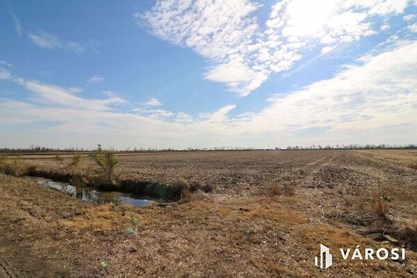 Eladó földterület Nagyszénás