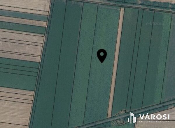 Eladó földterület Nagyszénás