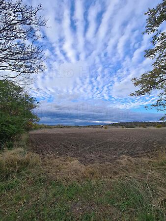 Eladó földterület Füle