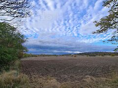 Eladó földterület Füle