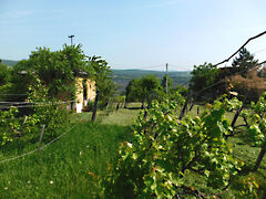 Eladó földterület Pécs, Gyükés