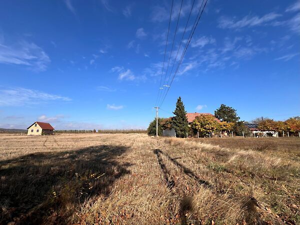 Eladó földterület Mohács, Szőlőhegy