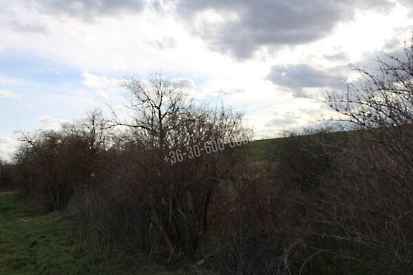 Eladó földterület Iregszemcse