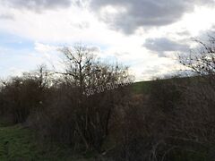 Eladó földterület Iregszemcse