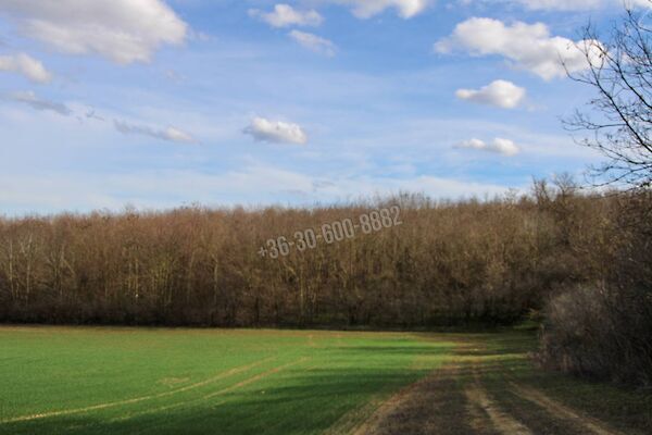 Eladó földterület Iregszemcse