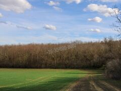 Eladó földterület Iregszemcse