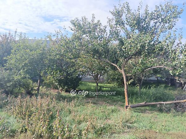 Eladó ház Gyomaendrőd