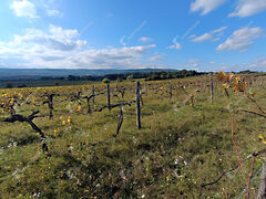 Eladó földterület Harka