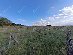 Eladó földterület Harka