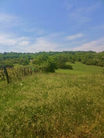 Eladó földterület Tihany