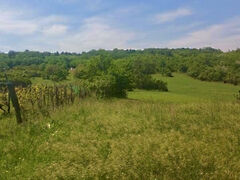 Eladó földterület Tihany