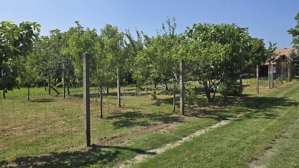 Eladó földterület Cserdi