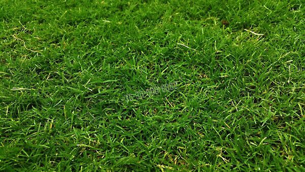 Eladó földterület Balatonszabadi