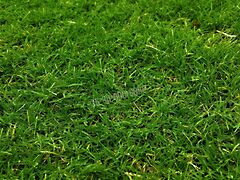 Eladó földterület Balatonszabadi