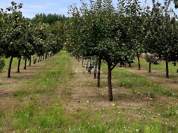 Eladó földterület Péteri