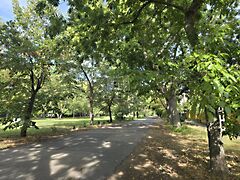 Eladó lakás Budapest, XIV. kerület