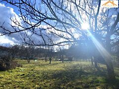 Eladó földterület Sárszentmihály