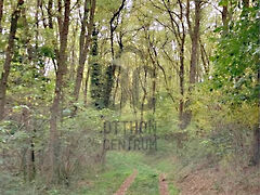 Eladó földterület Bocfölde