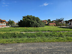 Eladó földterület Bük