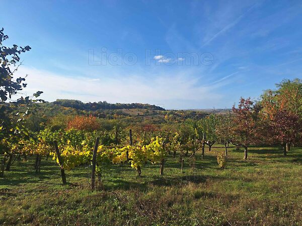 Eladó földterület Tab