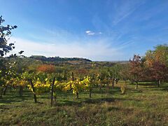 Eladó földterület Tab