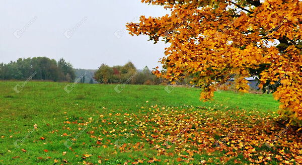 Eladó földterület Kemestaródfa