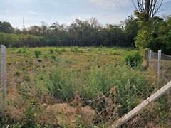 Eladó földterület Balatonszárszó