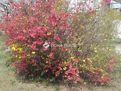 Eladó földterület Erdőkertes