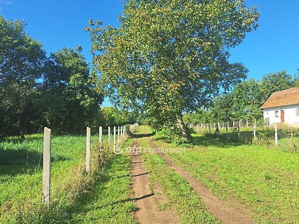 Eladó földterület Tiszafüred