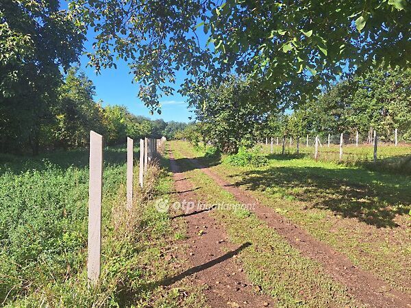 Eladó földterület Tiszafüred