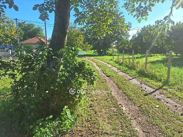 Eladó földterület Tiszafüred