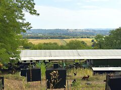 Eladó földterület Kehidakustány