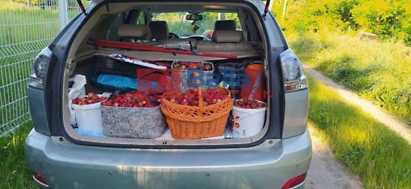 Kiadó földterület Budapest, XVII. kerület